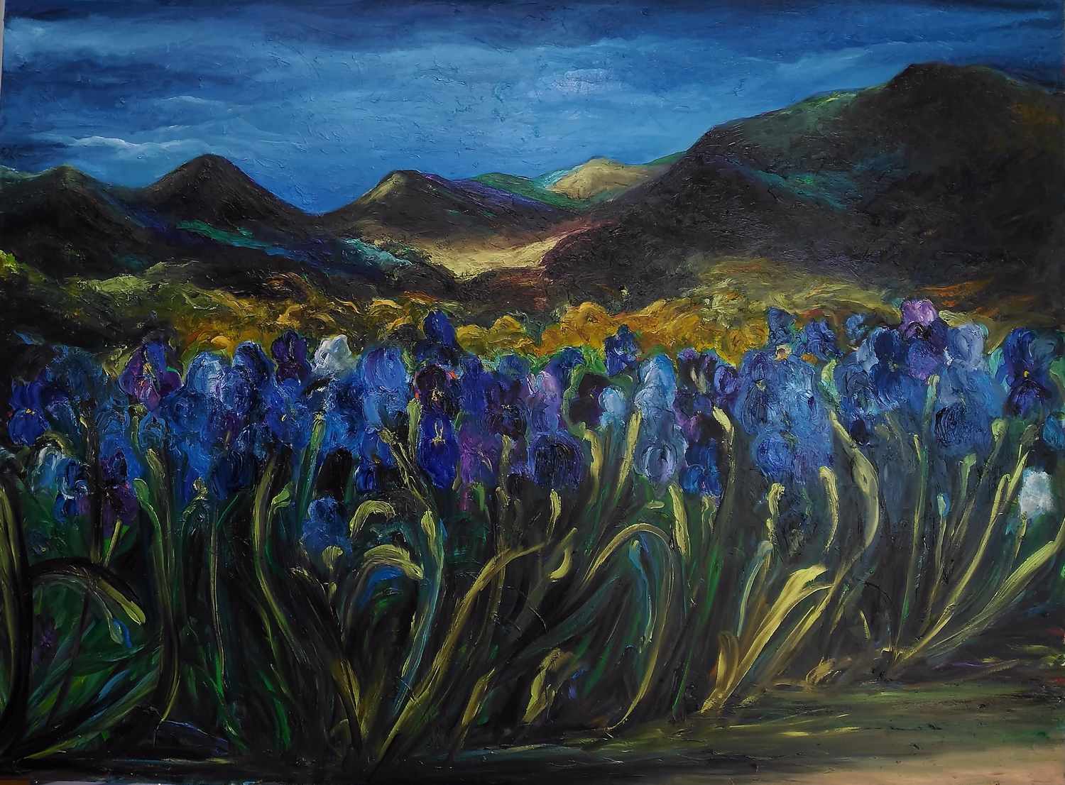 Iris, Artiste peintre Saint Raphael, F.Gautier