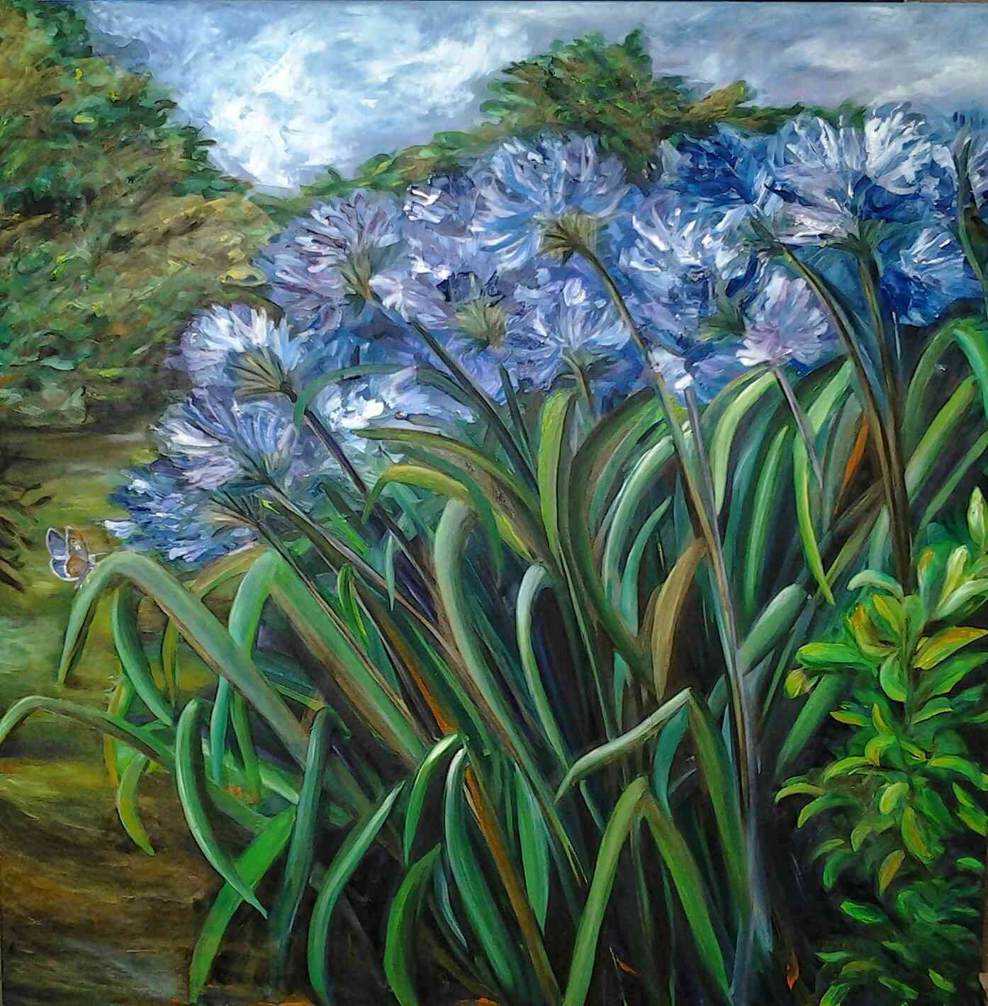 Agapanthes,huile sur toil,120X120,2015.Artiste peintre Florence Gautier.