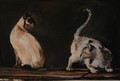 artiste peintre tableaux animaux animal chats chattes 